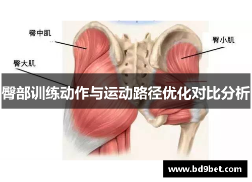 臀部训练动作与运动路径优化对比分析